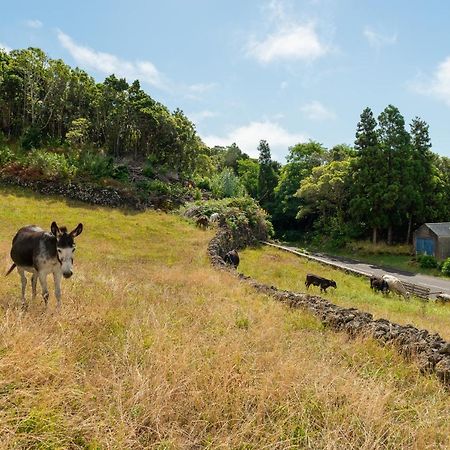 Вилла Casa Da Figueirinha Calheta de Nesquim Экстерьер фото