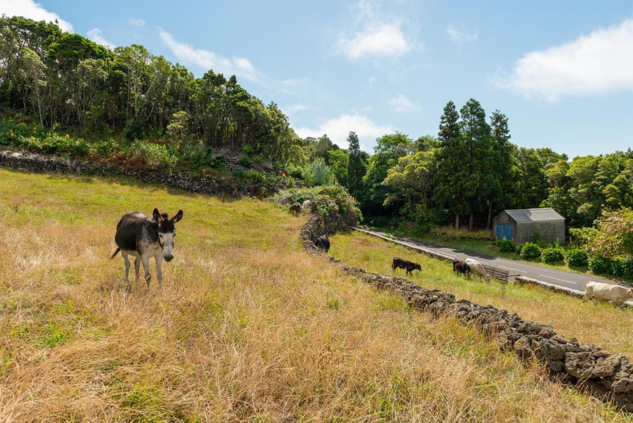 Вилла Casa Da Figueirinha Calheta de Nesquim Экстерьер фото